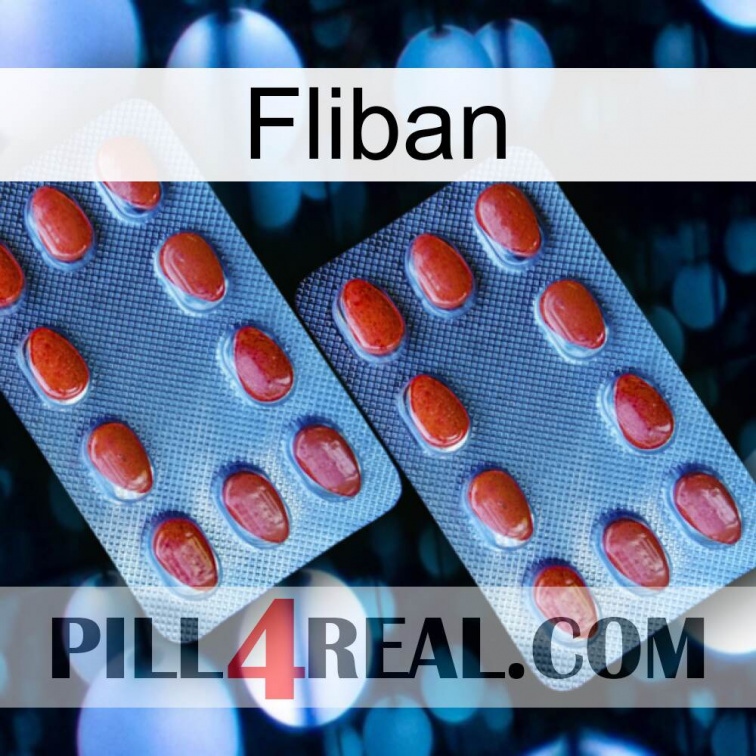 Fliban 05